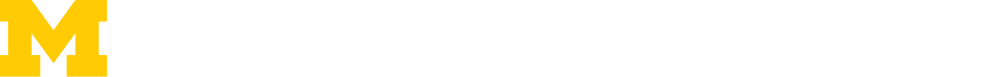 Michigan Futures Initiative